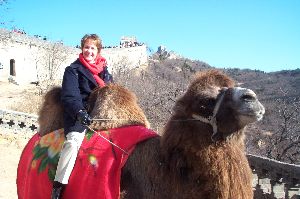 Shelley on a Camel.