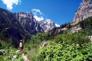 Shelley hikes in the Tetons