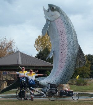 The Big Trout, Adaminaby, NSW