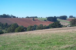 Near Emerald, VIC