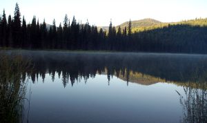 Morning Mist at Upper Whitefish Lake