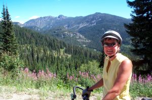 Wildflowers and mountain peaks