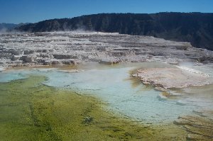 Mammoth Hot Springs