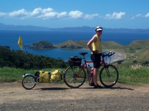 Shelley on the Coromandel Penninsula