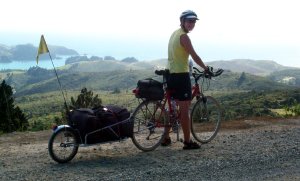 Shelley near Tauranga Bay