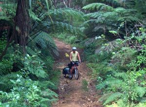 Shelley on the trail