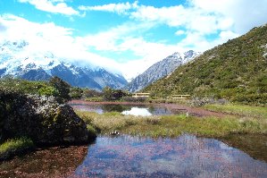 Red Tarns at Mount Cook