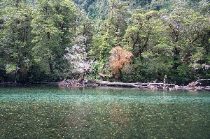 View across the river, nice colors