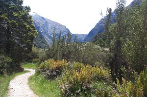 A bend in the trail