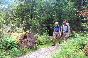 Walking on the Trail