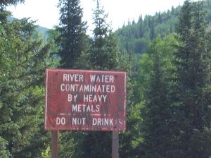 Don't drink the water!