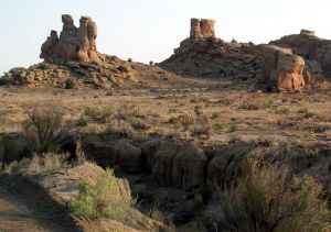 New Mexico Desert