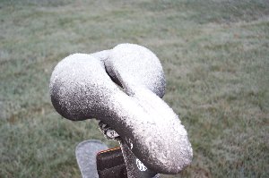 Frosty Seat