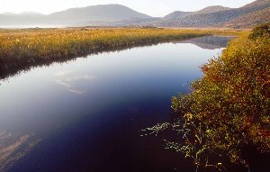 Dawn at Darby River